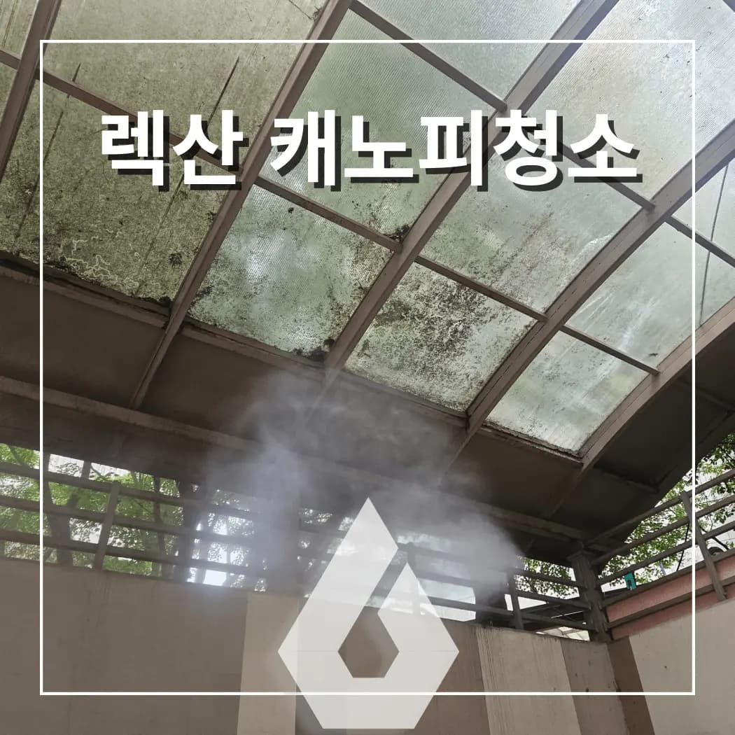 렉산 캐노피 전문 청소 상가 지붕, 주차장, 병원, 주택 썬룸