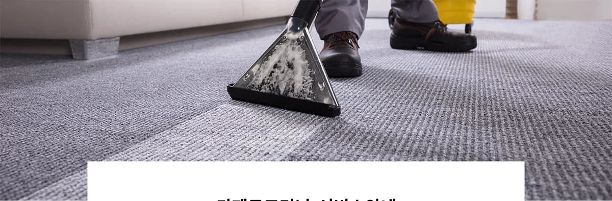 카페트크리닝 대표 사진