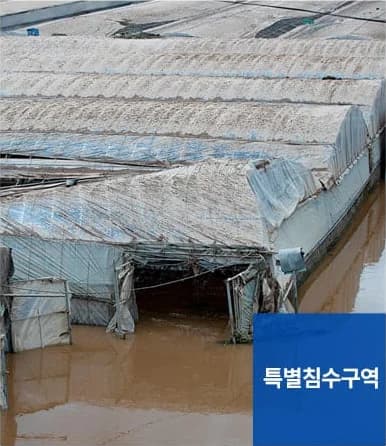 침수청소 서비스 대상 - 특별침수구역