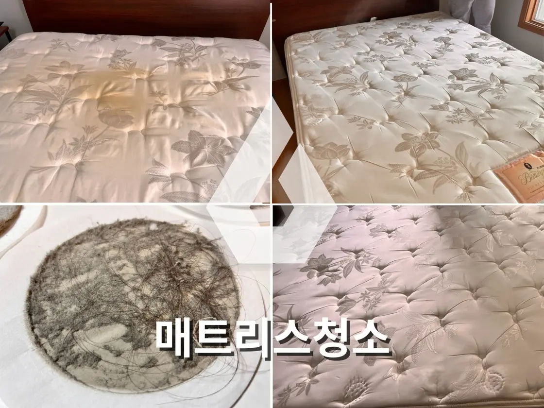 매트리스 쇼파 청소 - 시공 사진 1