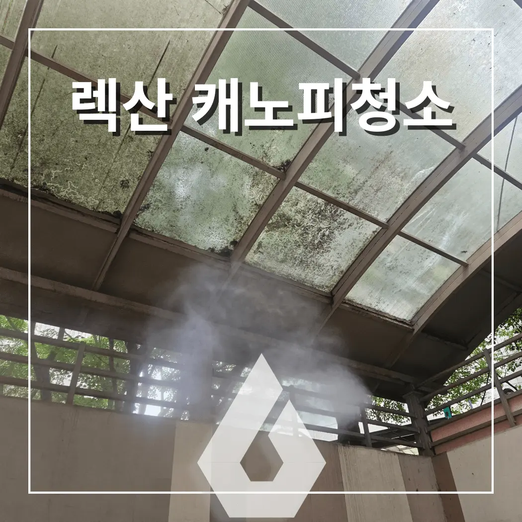 렉산 캐노피 전문 청소 상가 지붕, 주차장, 병원, 주택 썬룸 - 시공 사진 1