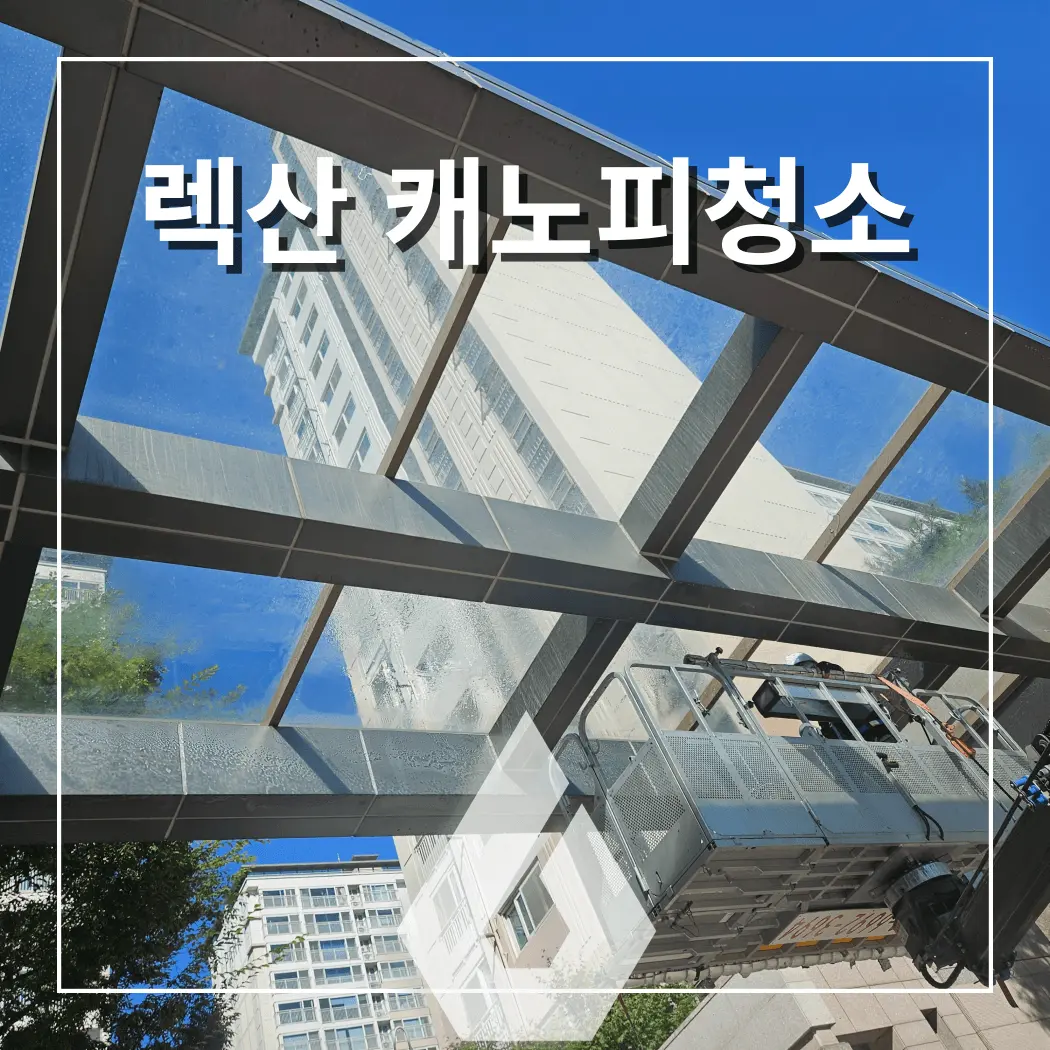 렉산 캐노피 전문 청소 상가 지붕, 주차장, 병원, 주택 썬룸 - 시공 사진 4