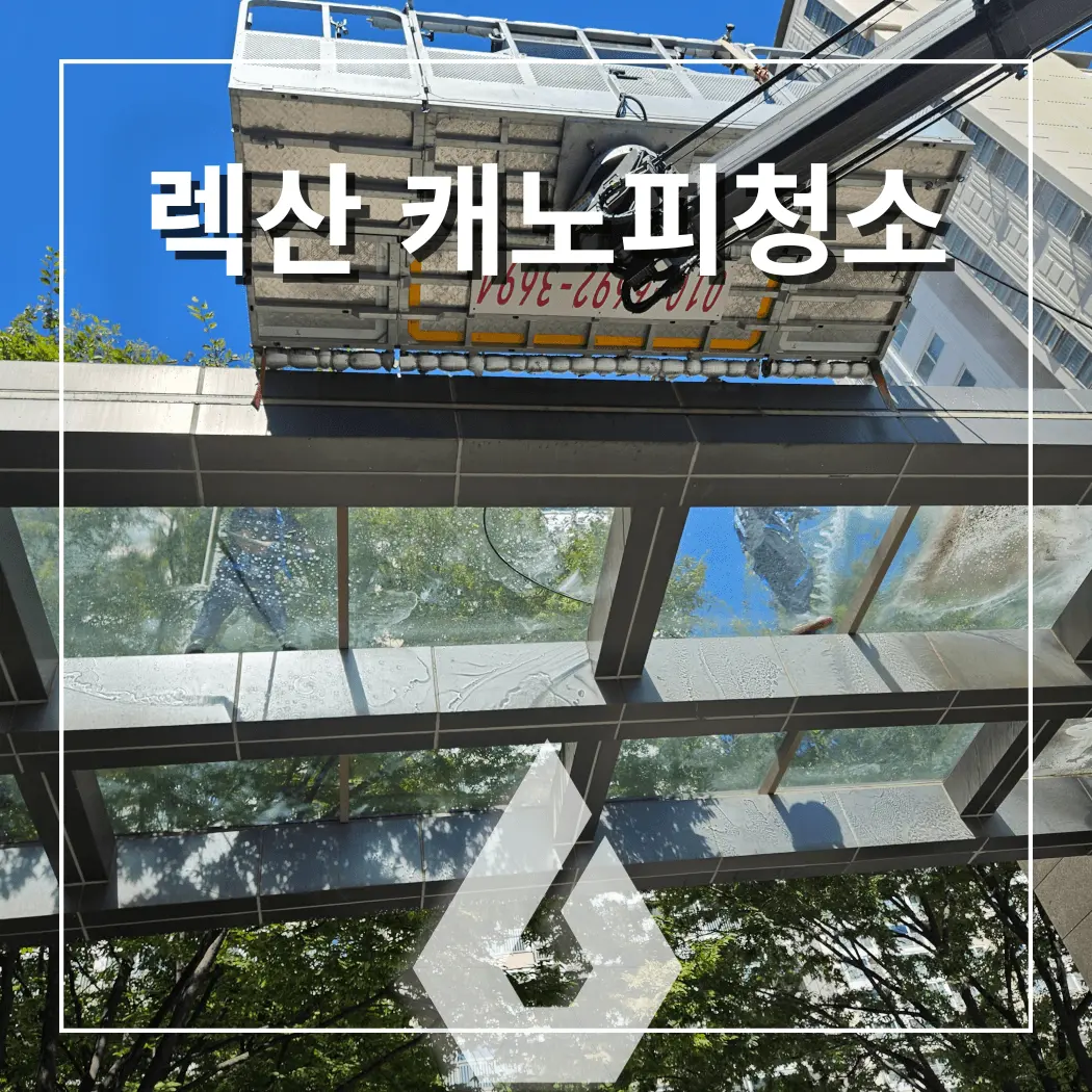 렉산 캐노피 전문 청소 상가 지붕, 주차장, 병원, 주택 썬룸 - 시공 사진 2